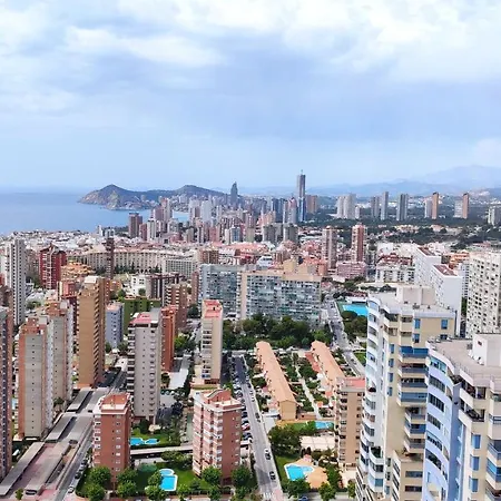 The - Planta 32 *